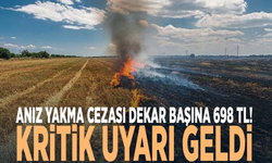 Anız yakma cezası dekar başına 698 TL! Kritik uyarı geldi