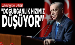 Cumhurbaşkanı Erdoğan: "Doğurganlık hızımız düşüyor"