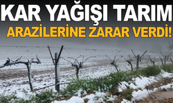 Yüksek kesimlerde ani hava değişimi üreticiyi zorladı