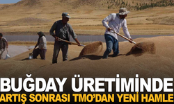 Manisa'nın o ilçesine TMO Buğday Alım Ofisi Açıyor