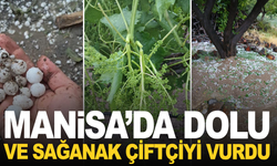 Manisa’da Dolu ve Sağanak Üreticiyi Vurdu