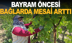 Bayram öncesi bağlarda mesai arttı