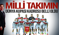 A milli Takım'ın Dünya Kupası kadrosu belli oldu