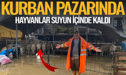 Sağanak yağış hayatı olumsuz etkiledi