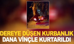 Dereye düşen kurbanlık dana vinçle kurtarıldı