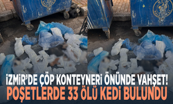 İzmir’de çöp konteyneri önünde vahşet! Poşetlerde 33 ölü kedi bulundu