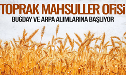 Toprak Mahsulleri Ofisi buğday ve arpa alımlarına başlıyor: Tarih verildi