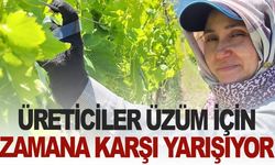 Üreticiler üzüm için zamana karşı yarışıyor