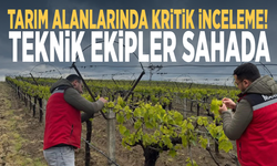 Tarım alanlarında kritik inceleme! Teknik ekipler sahada