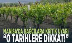 Manisa’da bağcılara kritik uyarı: “O tarihlere dikkat!”