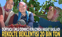 Dünyaca ünlü Demirci kirazında hasat başladı... Rekolte beklentisi 20 bin ton