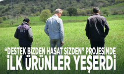 “Destek Bizden Hasat Sizden” projesinde ilk ürünler yeşerdi
