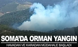 Soma'daki orman yangınına havadan ve karadan müdahale başladı