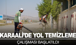 Karaali’de yol kenarları temizlendi