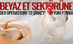 Beyaz et sektörüne dev operasyon!13 şirkete kayyum atandı