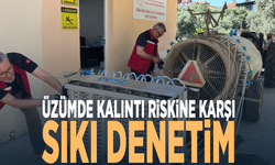 Üzümde kalıntı riskine karşı sıkı denetim