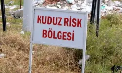 Kuduz vakası tespit edildi: O ilçe karantinaya alındı