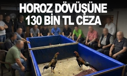 Horoz dövüştürülen çiftlik mühürlendi, hayvanlar korumaya alındı