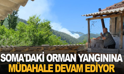 Soma'daki orman yangınına müdahale devam ediyor
