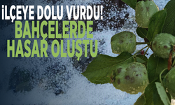İlçeye dolu vurdu! Bahçelerde hasar oluştu