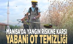 Manisa’da yangın riskine karşı yabani ot temizliği