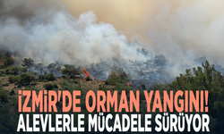 İzmir'de orman yangını!  Alevlerle mücadele sürüyor