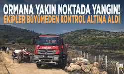 Ormana yakın noktada yangın! Ekipler büyümeden kontrol altına aldı