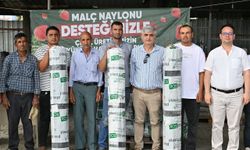 Büyükşehir'den çilek üreticilerine destek