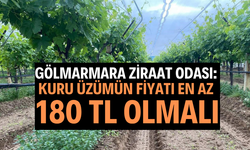 Gölmarmara Ziraat Odası: Kuru Üzümün Fiyatı En Az 180 TL Olmalı