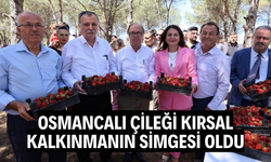 Osmancalı Çileği’nin ilk hasadı şenlikle yapıldı