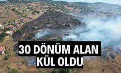 30 dönüm alan kül oldu