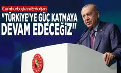 Cumhurbaşkanı Erdoğan: "Türkiye'ye güç katmaya devam edeceğiz"