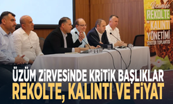 Üzüm zirvesinde kritik başlıklar: Rekolte, kalıntı ve fiyat