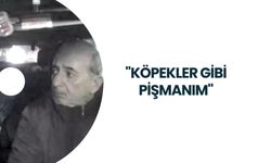 Taksi şoförünü katleden katil: "Köpekler gibi pişmanım"