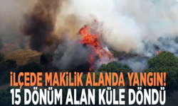 İlçede makilik alanda yangın! 15 dönüm alan küle döndü