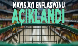 Enflasyon rakamları açıklandı