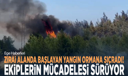 Zirai alanda başlayan yangın ormana sıçradı! Ekiplerin mücadelesi sürüyor