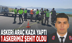 Askeri araç kaza yaptı... 1 askerimiz şehit oldu