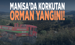 Manisa'da korkutan orman yangını!