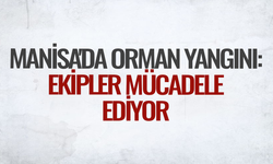 Manisa'da orman yangını: Ekipler mücadele ediyor