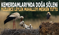 Kemerdamları’nda doğa şöleni... Yüzlerce leylek mahalleyi mesken tuttu