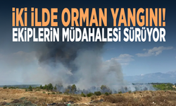 İki ilde orman yangını! Ekiplerin müdahalesi sürüyor