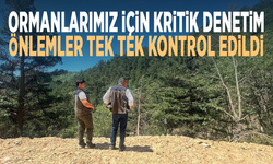 Ormanlarımız için kritik denetim... Önlemler tek tek kontrol edildi