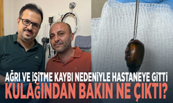 Ağrı ve işitme kaybı nedeniyle hastaneye gitti... Kulağından bakın ne çıktı?