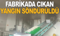 Fabrikada çıkan yangın söndürüldü