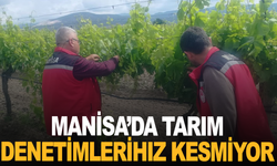 Manisa’da tarım denetimleri hız kesmiyor