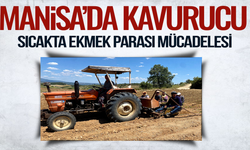 Manisa'da kavurucu sıcakta ekmek mücadelesi veriyorlar