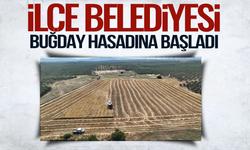 İlçe belediyesi buğday hasadına başladı