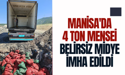 Manisa'da 4 Ton Menşei Belirsiz Midye İmha Edildi