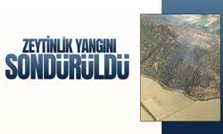 Zeytinlikteki yangın söndürüldü